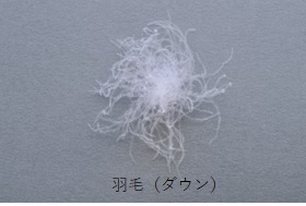 羽毛（ダウン）